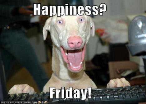 Friday Happiness